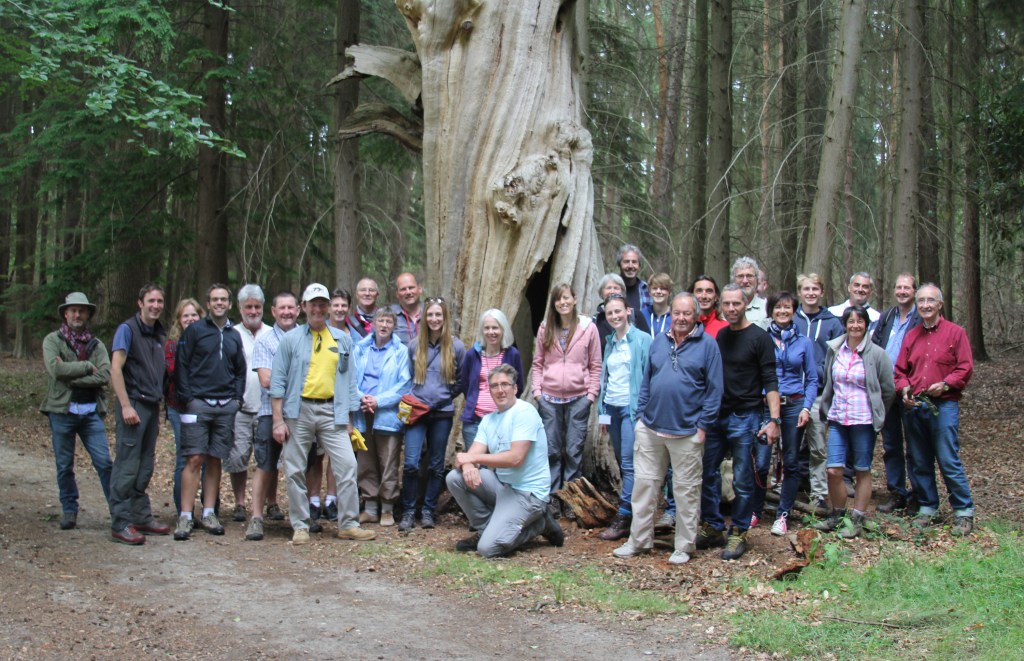 Fungi in Trees in the Queen’s Back&nbsp;Garden