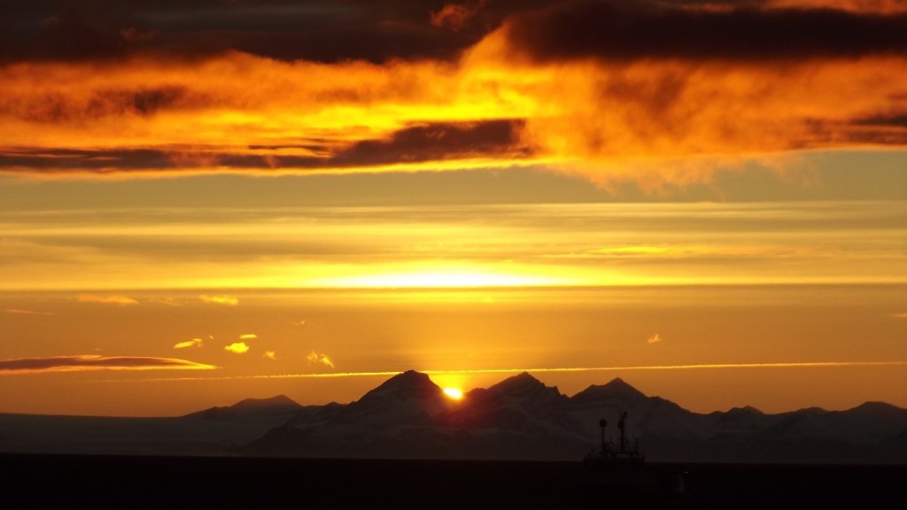 Arctic Mycology Training